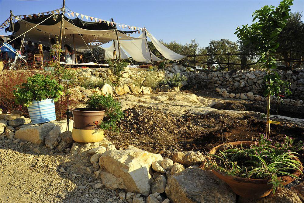 Galilee Bedouin Camplodge Tabash Екстер'єр фото