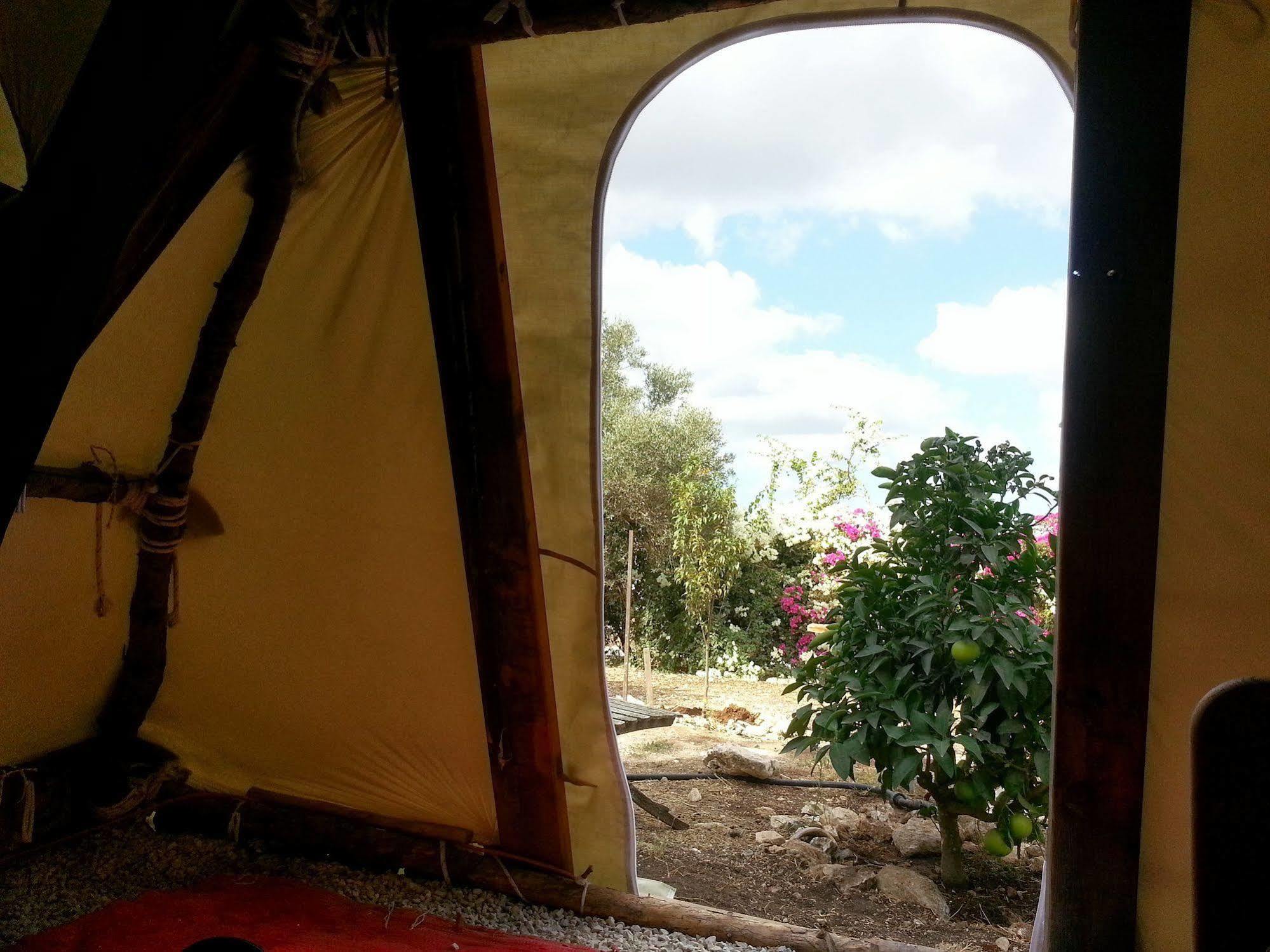 Galilee Bedouin Camplodge Tabash Екстер'єр фото